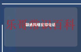 联通网络宽带 联通网络宽带电话能办几张副卡缩略图