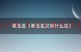 翠玉瓜的功效营养（翠玉瓜可以生吃么）缩略图