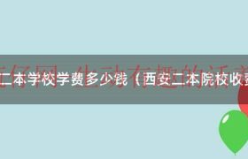 西安二本大学学费一览表（西安二本大学学费多少钱）缩略图