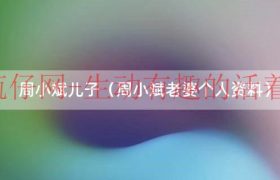 周小斌前妻（周小斌多少岁）缩略图