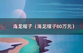 海龙帽子价格（海龙帽子）缩略图