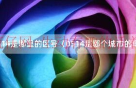 电话号码0514属于什么（0514是哪儿的电话区号）缩略图