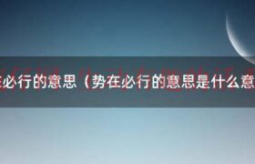 势在必行出处（势在必行褒义还是贬义）缩略图