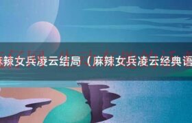 麻辣女兵凌云第几集怀孕（麻辣女兵中的凌云实力）缩略图