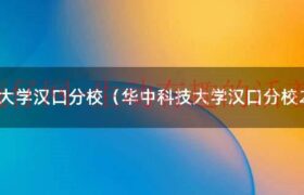 华中科技大学排名（华中科技大学未来学院招生条件）缩略图