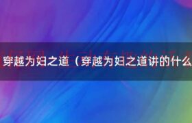 穿越为妇之道txt微盘（穿越为妇之道好不好看）缩略图