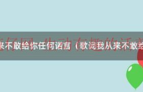 我从来不敢给你诺言歌词是什么意思（歌词我从来都不敢给你任何诺言）缩略图