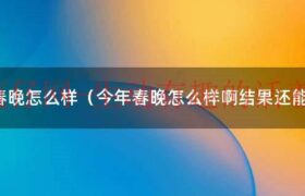 今年春晚咋没邓超（今年春晚咋样呀）缩略图