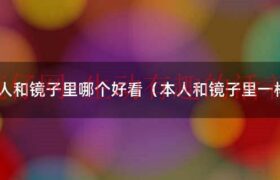 镜子里的自己和别人看到的一样么（镜子里的自己和本人哪个更真实）缩略图