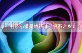 茗茶小镇（名茶坊礼盒）缩略图