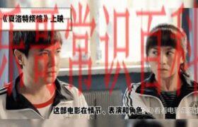 沈腾马丽CP为何走到危机边缘？粉丝情感过度干预竟成真相背后的隐忧缩略图