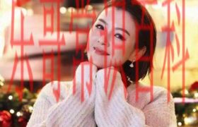 陈茵媺为何选择陈豪而非陈展鹏？揭秘她婚姻背后的家庭背景与情感故事缩略图