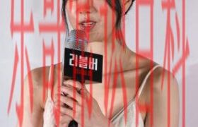林智妍演的戏 林智妍个人缩略图