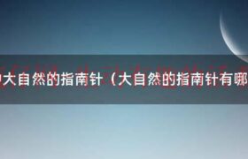 大自然的指南针有哪些2 100个（大自然的指南针有哪些全部）缩略图