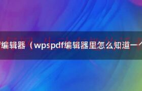 wpspdf编辑文字不支持type3字体（WPS PDF编辑器使用教程）缩略图