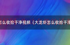 怎样收拾大龙虾（大龙虾怎么收拾干净?）缩略图