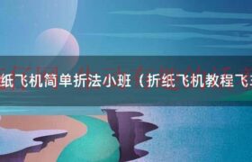 小班飞机折纸（用卡纸折纸飞机怎么折的飞得远）缩略图
