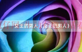 女王的男人小说（女王的男人免费阅读全文）缩略图