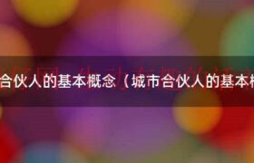 城市合伙人模式有套路吗（城市合伙人模式的组织架构）缩略图
