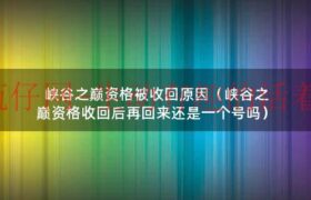 峡谷之巅资格收回机制（峡谷之巅资格被无缘无故的收回了）缩略图