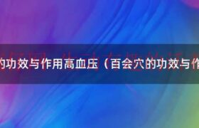 百会放血治好了高血压（百会 高血压）缩略图