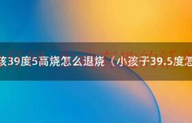 小孩39度以上发烧最快退烧方法（小孩高烧39.5度退烧最快方法）缩略图