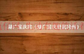 湖广省宝庆府武冈州（湖广省宝庆府指现在哪里）缩略图