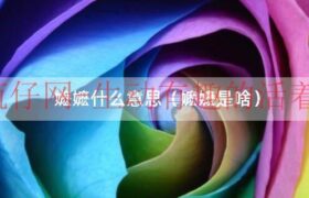 掌事嬷嬷是什么身份（嬷嬷和掌事嬷嬷的区别）缩略图
