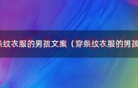 穿条纹衣服的男孩思维导图（穿条纹衣服的男孩介绍）缩略图