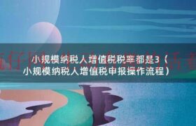 小规模专票税率1%如何申报（小规模1%税率怎么申报）缩略图