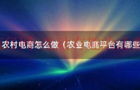 农村电商怎么做才有案例（农村电商县城电商）缩略图
