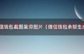 微信余额截图生成器（微信余额截图 炫富 钱包）缩略图