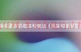 凤梨和菠萝怎么制作（凤梨和菠萝的常见烹饪方法有哪些）缩略图