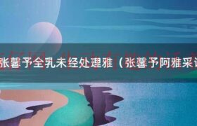 张馨予陈雅婷（阿雅张馨予图片）缩略图