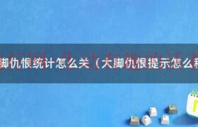 大脚仇恨统计没了（大脚仇恨统计在哪）缩略图