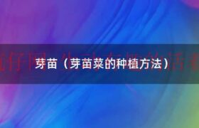 各种芽苗菜的种植（芽苗菜种类一览表图）缩略图