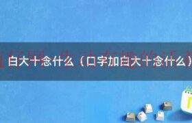 口字旁一个白一个大1个10（口白大十加起来是什么字）缩略图