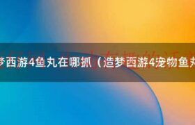 造梦西游4修改器（造梦西游4宠物鱼丸在哪）缩略图