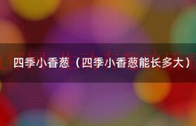 四季小香葱种子用水泡多久（四季小香葱种子多久发芽）缩略图