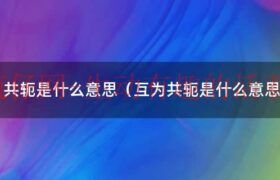 共轭是什么意思化学（共轭是什么意思?数学的!举例说明!）缩略图