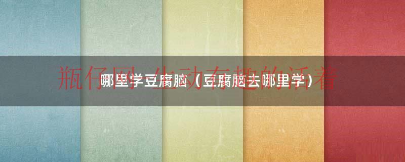 哪里学豆腐脑（豆腐脑去哪里学）