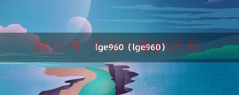 lge960（lge960）
