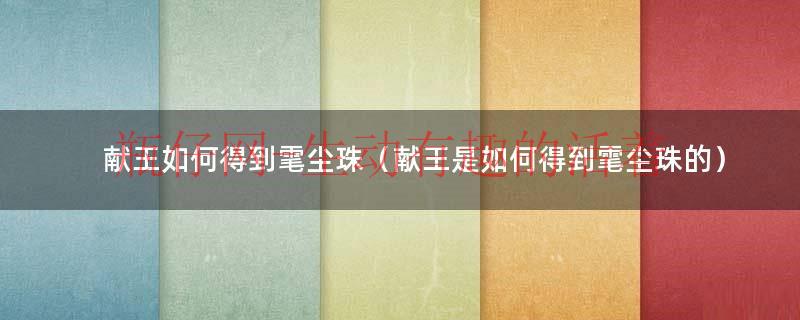 献血怎样才能拿到献血证（如何取出献王嘴里的雮尘珠）