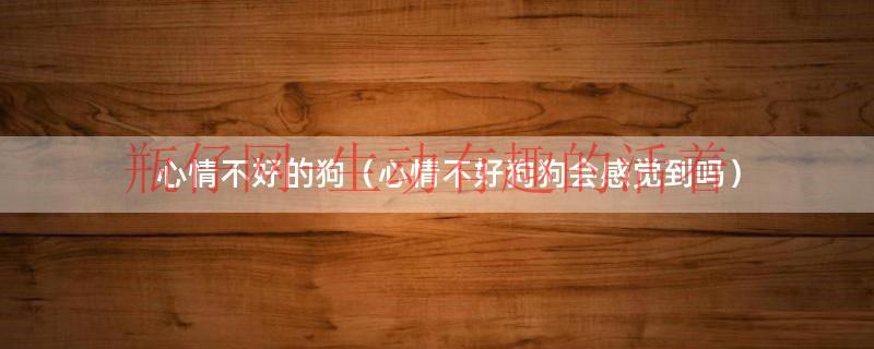 狗狗有没有心情不好的时候（狗狗心情不好有什么特征）