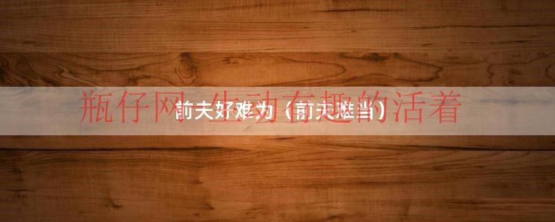 前夫很难缠（前夫好难为小说）
