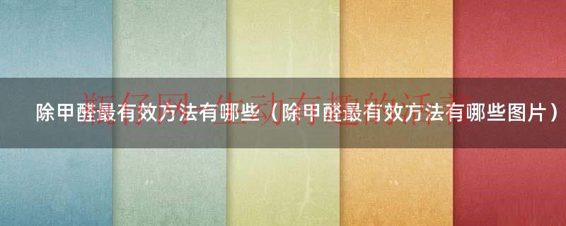除甲醛最有效的办法（除甲醛方法最有效的方法）