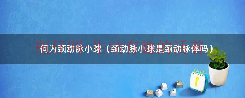 颈动脉小球是颈动脉体吗（颈动脉小球在哪图解）