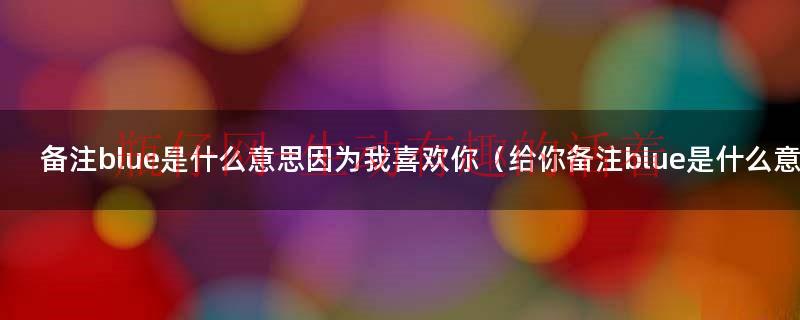 blue的备注含义（备注blue什么特殊意思）
