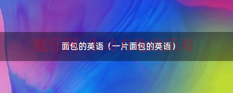一片面包的英语怎么说（一片面包用英语怎么读?）