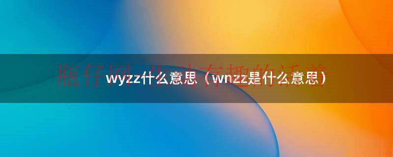 wdzz什么意思（wrzz是什么意思）